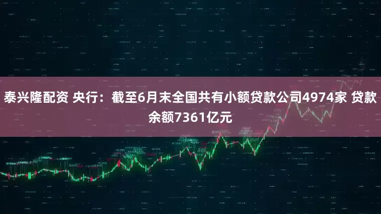 泰兴隆配资 央行：截至6月末全国共有小额贷款公司4974家 贷款余额7361亿元