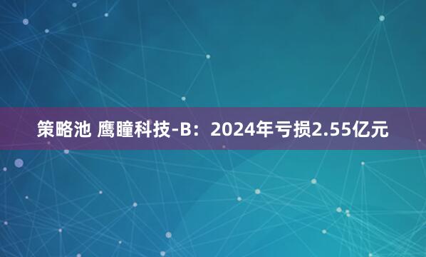 策略池 鹰瞳科技-B：2024年亏损2.55亿元