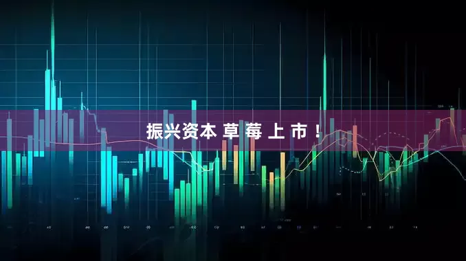 振兴资本 草 莓 上 市 ！