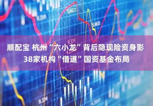 顺配宝 杭州“六小龙”背后隐现险资身影 38家机构“借道”国资基金布局