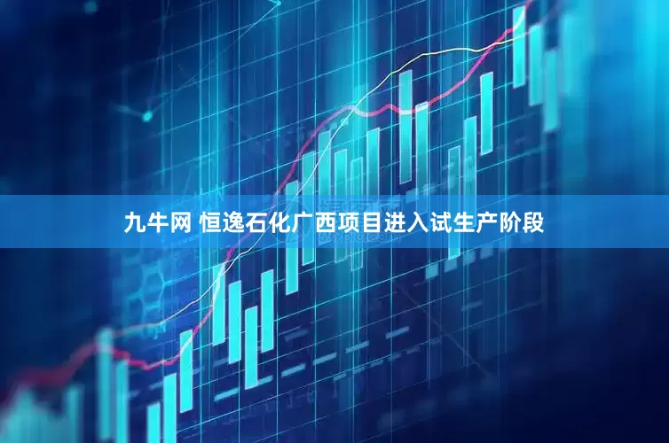 九牛网 恒逸石化广西项目进入试生产阶段